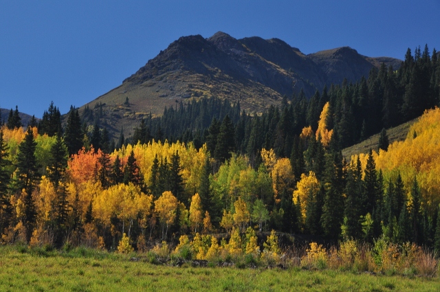 jeep tour to Brown Mountain